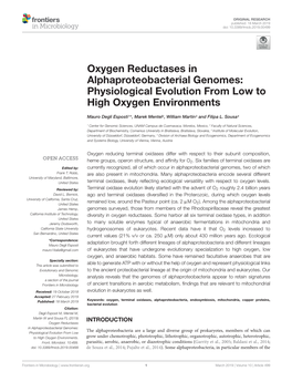 Oxygen Reductases in Alphaproteobacterial Genomes: Physiological Evolution from Low to High Oxygen Environments