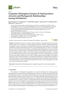 Complete Chloroplast Genome of Paphiopedilum Delenatii and Phylogenetic Relationships Among Orchidaceae