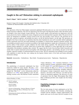 Caught in the Act? Distraction Sinking in Ammonoid Cephalopods