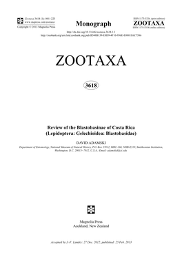 Review of the Blastobasinae of Costa Rica (Lepidoptera: Gelechioidea: Blastobasidae)