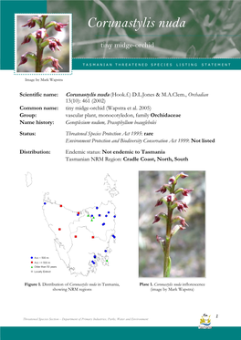 Corunastylis Nuda Nuda (Tiny Midge-Orchid)