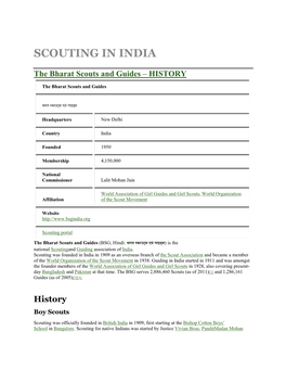 Scouting in India