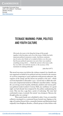 Teenage Warning : Punk, Politics and Youth Culture