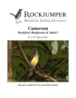 Cameroon Rockfowl, Rainforests & Sahel I