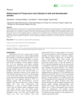 Review Global Impact of Torque Teno Virus Infection in Wild and Domesticated Animals