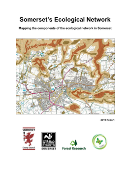 Somerset Ecological Networks Report 2019
