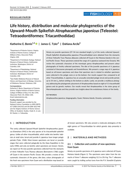 Life History, Distribution and Molecular Phylogenetics of the Upward-Mouth Spikefish Atrophacanthus Japonicus (Teleostei: Tetraodontiformes: Triacanthodidae)