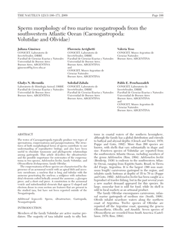 Sperm Morphology of Two Marine Neogastropods from the Southwestern Atlantic Ocean (Caenogastropoda: Volutidae and Olividae)
