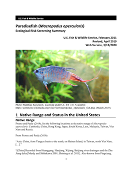 Paradisefish (Macropodus Opercularis) ERSS