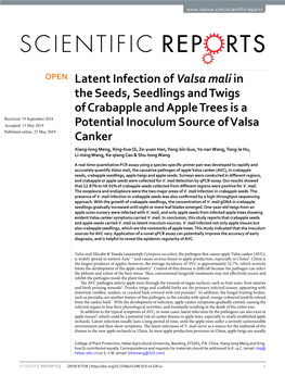 Latent Infection of Valsa Maliin the Seeds, Seedlings and Twigs