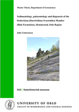 Sedimentology, Palaeontology and Diagenesis of the Ordovician (Darriwilian) Svartodden Member (Huk Formation), Slemmestad, Oslo Region