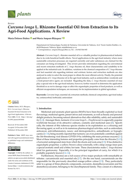 Curcuma Longa L. Rhizome Essential Oil from Extraction to Its Agri-Food Applications