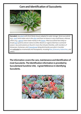 Care and Identification of Succulents
