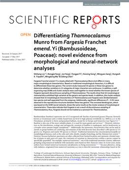 Differentiating Thamnocalamus Munro from Fargesia Franchet