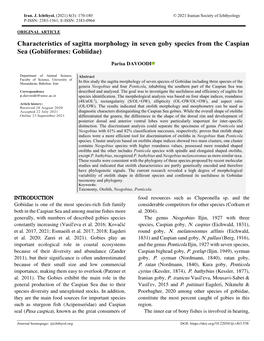 Characteristics of Sagitta Morphology in Seven Goby Species from the Caspian Sea (Gobiiformes: Gobiidae)