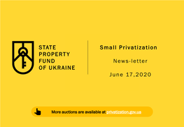 Small Privatization – News-Letter, on June 17, 2020
