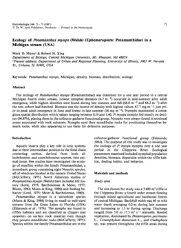 Potamanthus Myops (Walsh) (Ephemeroptera: Potamanthidae) in a Michigan Stream (USA)