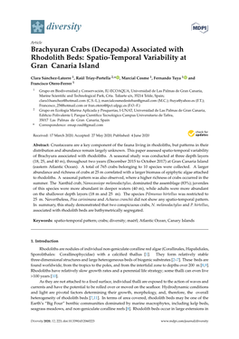 Brachyuran Crabs (Decapoda) Associated with Rhodolith Beds: Spatio-Temporal Variability at Gran Canaria Island