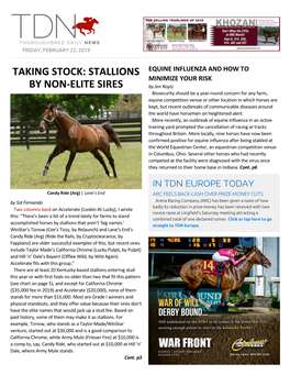 TAKING STOCK: STALLIONS by NON-ELITE SIRES Auction Maiden at Southwell Worth ,8,000