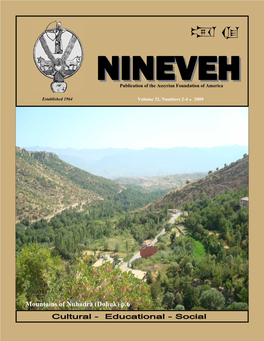 Nineveh 2009-2-4