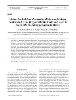 Batrachochytrium Dendrobatidis in Amphibians Confiscated from Illegal Wildlife Trade and Used in an Ex Situ Breeding Program in Brazil