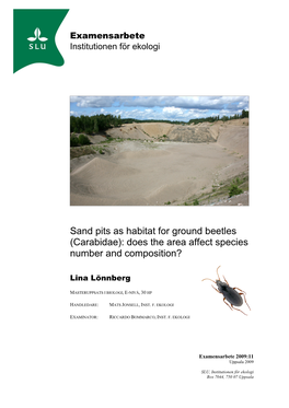 Sand Pits As Habitat for Ground Beetles (Carabidae): Does the Area Affect Species Number and Composition?