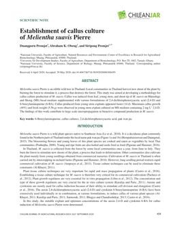 Establishment of Callus Culture of Melientha Suavis Pierre Duangporn Premjet1, Abraham K