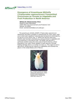 Emergence of Greenhouse Whitefly (Trialeurodes Vaporariorum) Transmitted Criniviruses As Threats to Vegetable and Fruit Production in North America