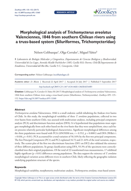 Morphological Analysis of Trichomycterus Areolatus Valenciennes, 1846 from Southern Chilean Rivers Using a Truss-Based System (Siluriformes, Trichomycteridae)