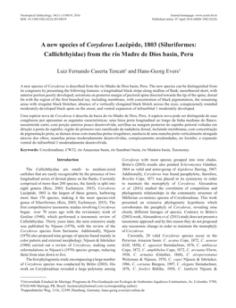 A New Species of Corydoras Lacépède, 1803 (Siluriformes: Callichthyidae) from the Río Madre De Dios Basin, Peru