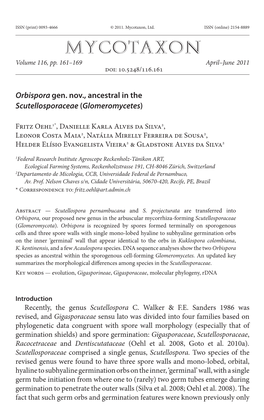 &lt;I&gt;Glomeromycetes&lt;/I&gt;