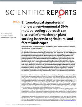 Entomological Signatures in Honey: an Environmental DNA