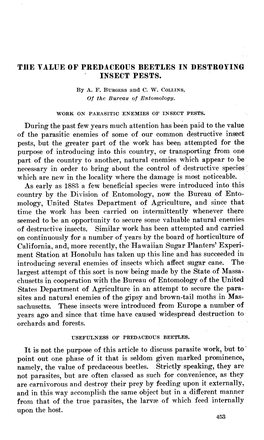 The Yalue of Prebaceous Beetles in Bestroying Insect Pests