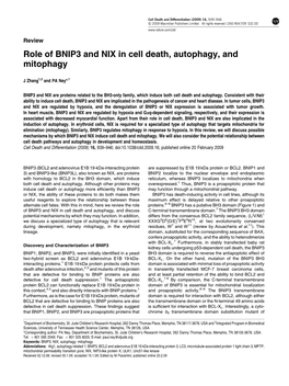 Role of BNIP3 and NIX in Cell Death, Autophagy, and Mitophagy