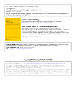 Journal of Natural History Is the Occluded Corolla of Antirrhinum Bee-Specialized?