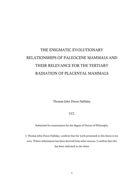 The Enigmatic Evolutionary Relationships of Paleocene Mammals and Their Relevance for the Tertiary Radiation of Placental Mammals