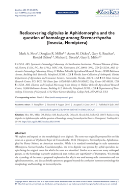 Rediscovering Digitules in Aphidomorpha and the Question of Homology Among Sternorrhyncha (Insecta, Hemiptera)