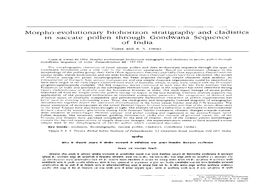 Morpho-Evolutionary Biohorizon Stratigraphy and Cladistics in Saccate Pollen Through Gondwana Sequence of India