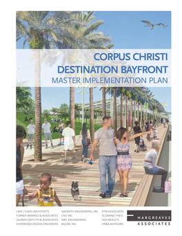 CDB Master Implementation Plan Book FINAL