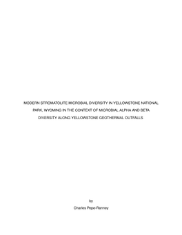 Modern Stromatolite Microbial Diversity in Yellowstone National Park, Wyoming in the Context of Microbial Alpha and Beta Diversi