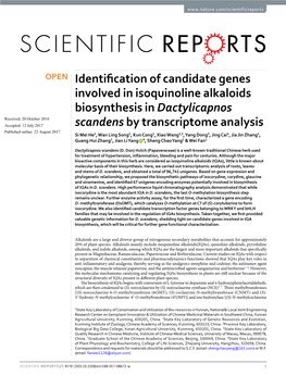 Identification of Candidate Genes Involved in Isoquinoline Alkaloids