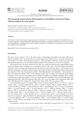 The Inaequalis Species-Group (Hymenoptera, Chrysididae, Chrysis) in China, with Description of a New Species