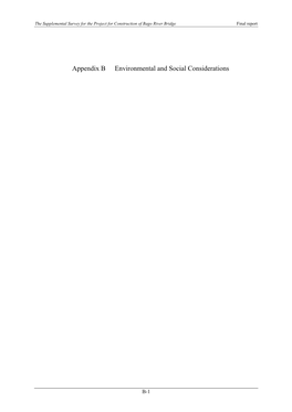 Appendix B Environmental and Social Considerations