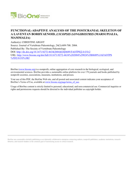 Functional-Adaptive Analysis of the Postcranial