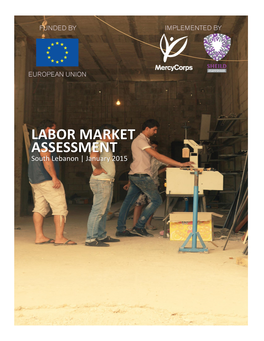 LABOR MARKET ASSESSMENT South Lebanon | January 2015