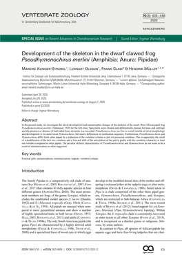 Development of the Skeleton in the Dwarf Clawed Frog Pseudhymenochirus Merlini (Amphibia: Anura: Pipidae)