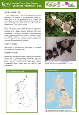 Lost and Found Fungi Factsheet Geastrum “Minimum” Agg