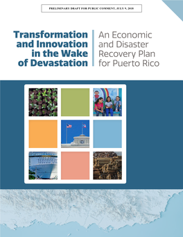 Transformation and Innovation in the Wake of Devastation: an Economic and Disaster Recovery Plan for Puerto Rico