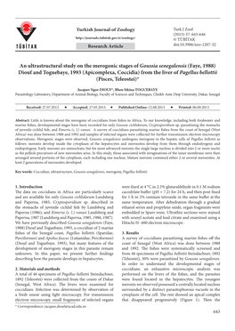 An Ultrastructural Study on the Merogonic Stages Of