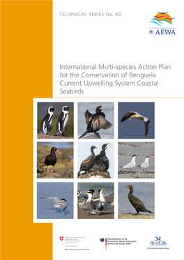International Multi-Species Action Plan for the Conservation of Benguela Current Upwelling System Coastal Seabirds